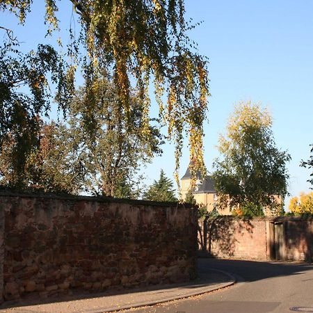 Ferienwohnung Spatzennest In Edesheim Buitenkant foto