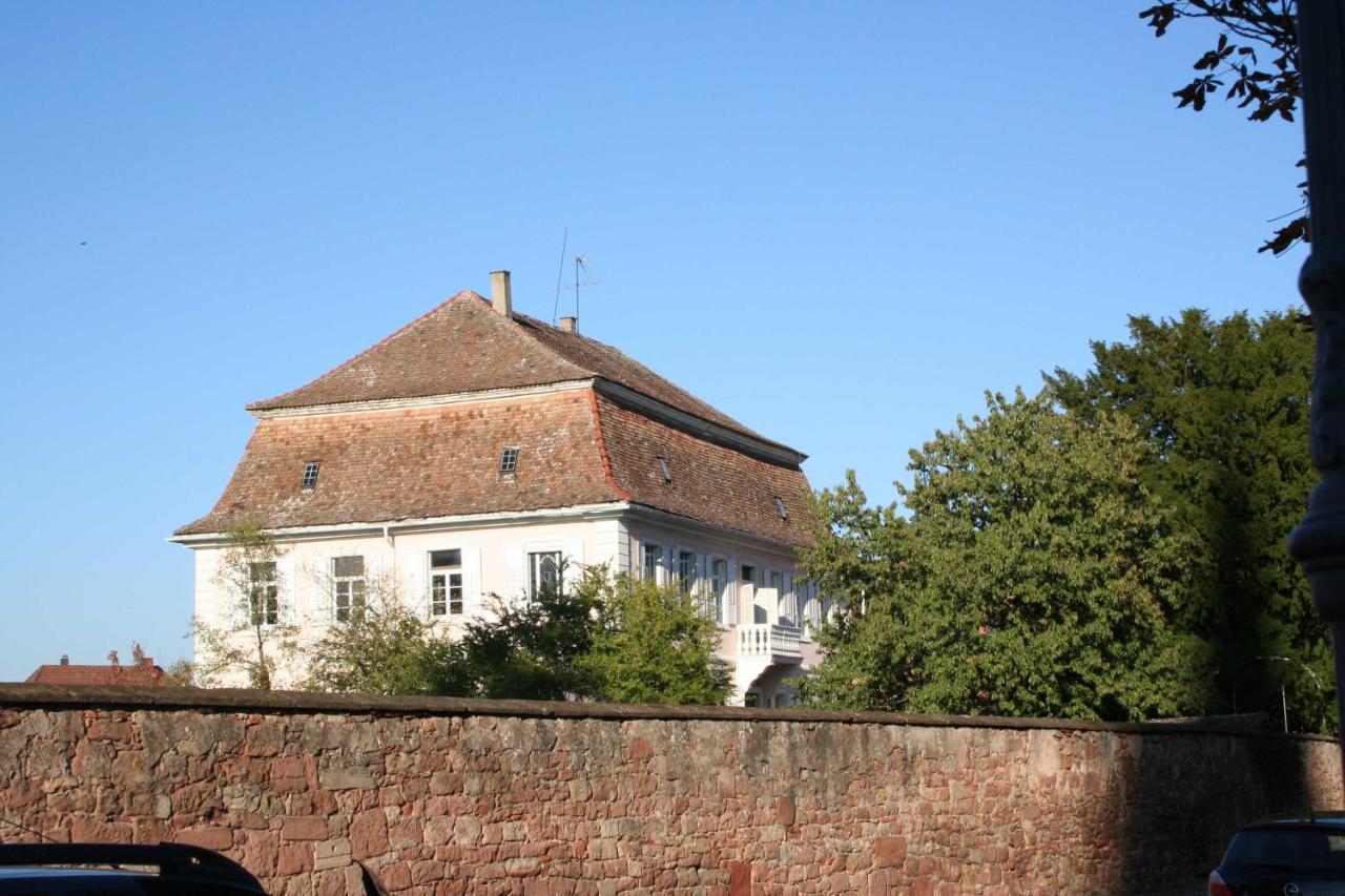 Ferienwohnung Spatzennest In Edesheim Buitenkant foto
